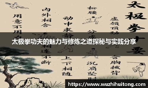 太极拳功夫的魅力与修炼之道探秘与实践分享